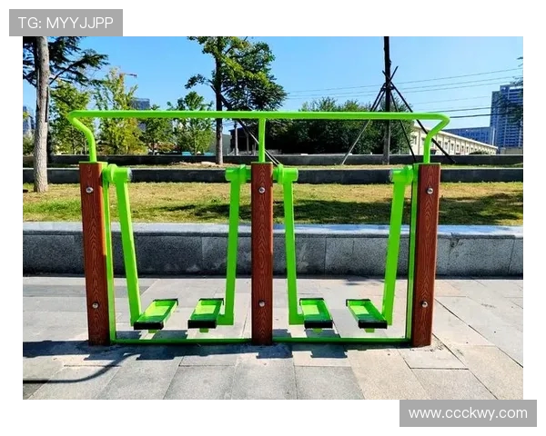 街头健身器材:街头健身器材的使用方法与常见种类 街头健身器材:街头健身器材的使用方法与常见种类