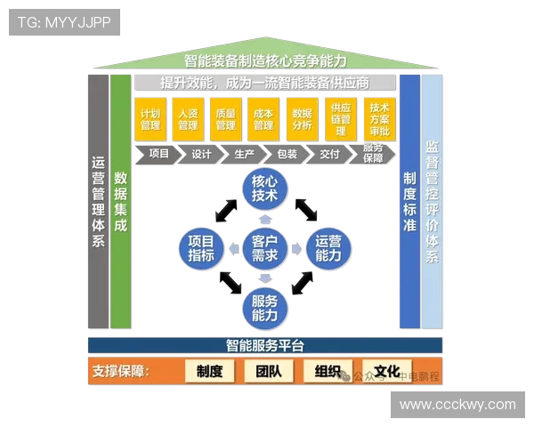 青少年足球脑震荡预防协议的创新框架设计 青少年足球脑震荡预防协议的创新框架设计