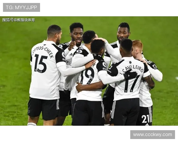 2009年英超球员关键数据及赛季回顾分析 2009年英超球员关键数据及赛季回顾分析