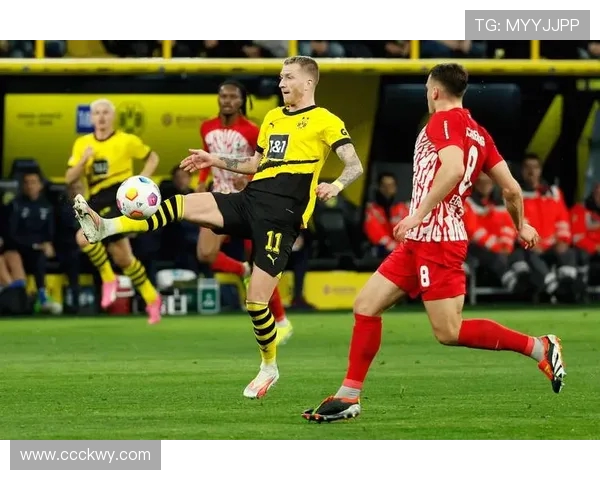 德甲球队欧冠表现详解：战术与战绩分析合集