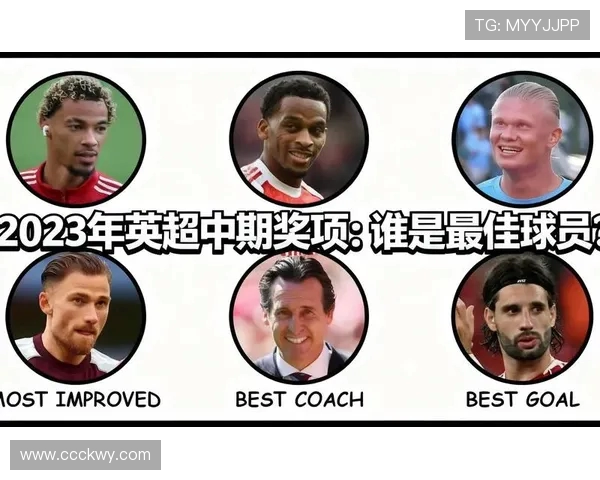 英超FWA年度最佳球员奖项得主一览